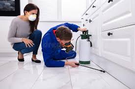 Best Bed Bug Extermination  in Big Coppitt Key, FL